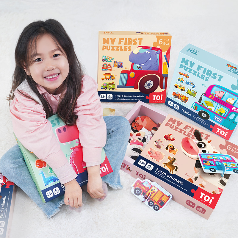 TOI 6 In A Box Advanced Puzzle - đánh giá và giá Kids First Education